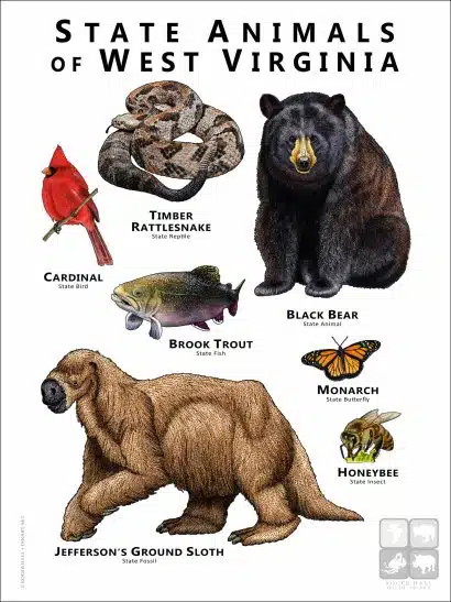 State Animals of West Virginia poster print