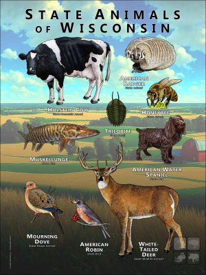 State Animals of Wisconsin poster print
