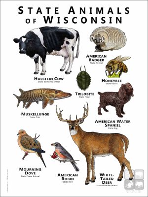 State Animals of Wisconsin poster print