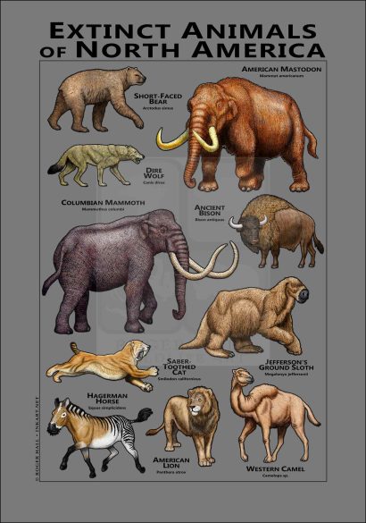 Extinct Mammals of North America poster