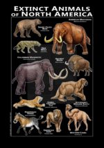 Extinct Mammals of North America poster
