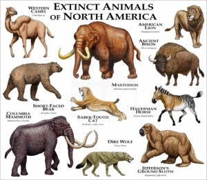 Extinct Mammals of North America print