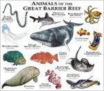 Animals of the Great Barrier Reef print
