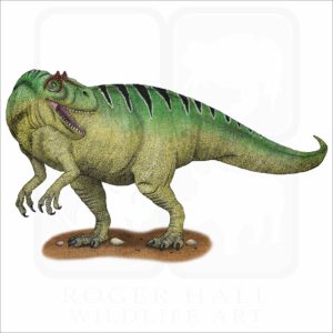 Allosaurus illustration