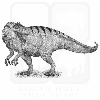 Allosaurus - Signed Fine Art Print - Image 2