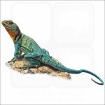 Common Collared Lizard illustration