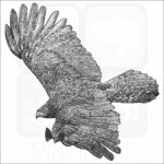Black Eagle