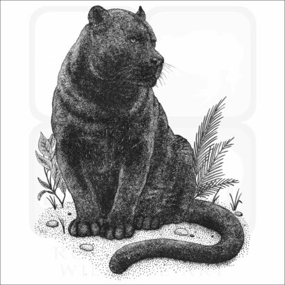 Black Panther