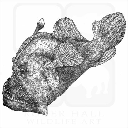 Black Seadevi
