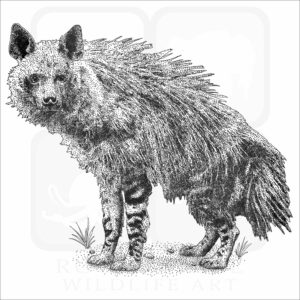 Brown Hyena