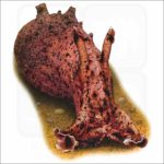 California Sea Hare illustration