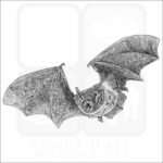 Cave Bat or Cave Myotis