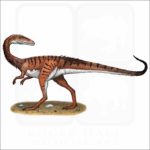 Coelophysis illustration