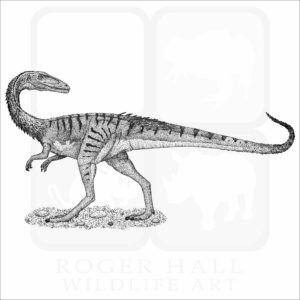 Coelophysis