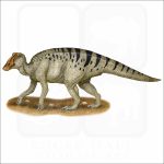 Duck-Billed Dinosaur illustration