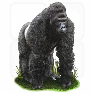 Eastern Lowland Gorilla illustration