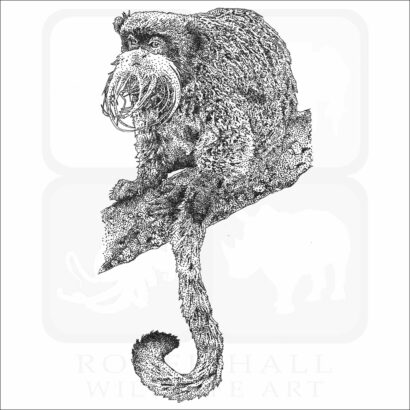 Emperor Tamarin