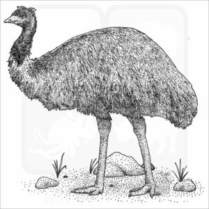 emu