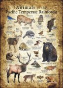 Animals of the Pacific Temperate Rainforest Poster Design