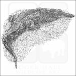 False Gharial