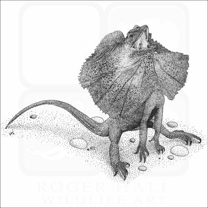 Frill-Necked Lizard