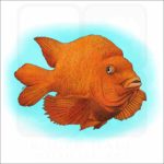 Garibaldi Fish illustration