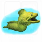Giant Moray Eel illustration