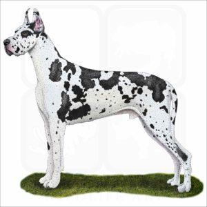 Great Dane illustration