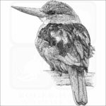 Grey-Headed Kingfisher