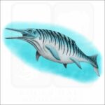 Ichthyosaur illustration