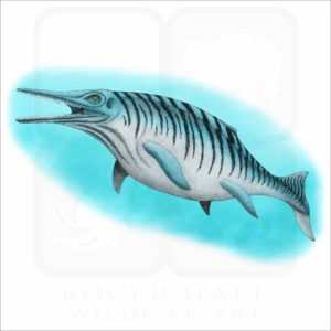 Ichthyosaur illustration