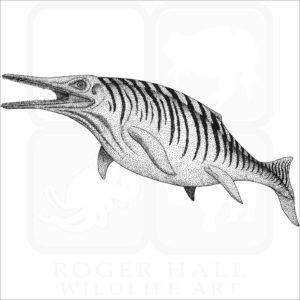 Ichthyosaur