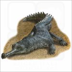 Indian Gharial illustration