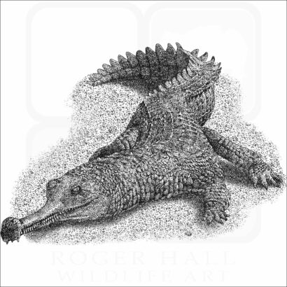 Indian Gharial