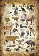 Animals of the Pantanal Poster print