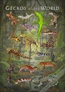 Gecko of the World poster print