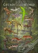 Gecko of the World poster print