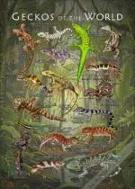 Gecko of the World poster print