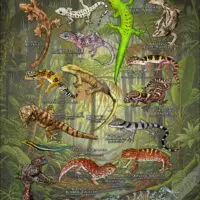Gecko of the World poster print