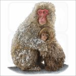 Japanese Snow Monkeys illustration