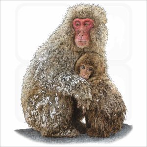 Japanese Snow Monkeys illustration