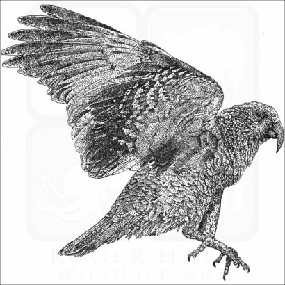 Kea