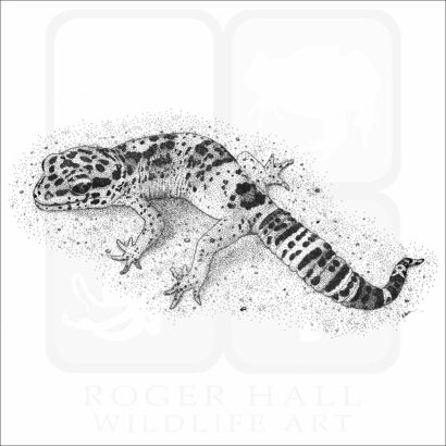 Leopard Gecko