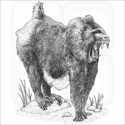 Mandrill