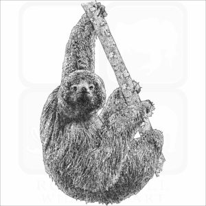 Maned Sloth