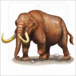 American Mastodon illustration