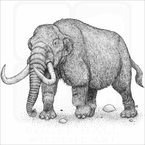 American Mastodon