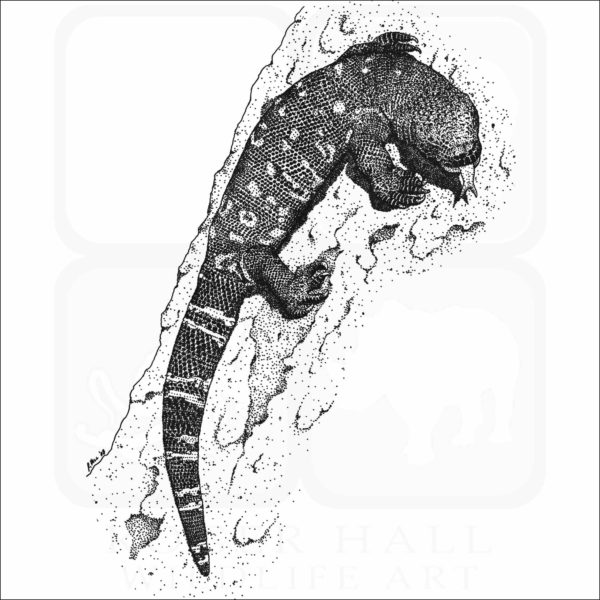 Mexican Beaded Lizard