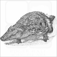 Nile Crocodile