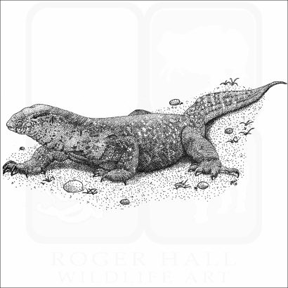 Nile Monitor